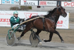 Årsdebuten börjar närma sig oc h Maharajah var närmast osannolikt bra i finslipningen på Solvalla. Foto; A.Lindblom/Travkompaniet